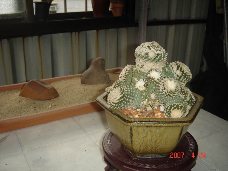 按此在新視窗瀏覽圖片