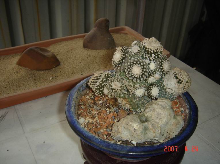 按此在新視窗瀏覽圖片