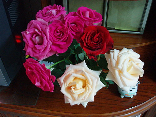 按此在新視窗瀏覽圖片