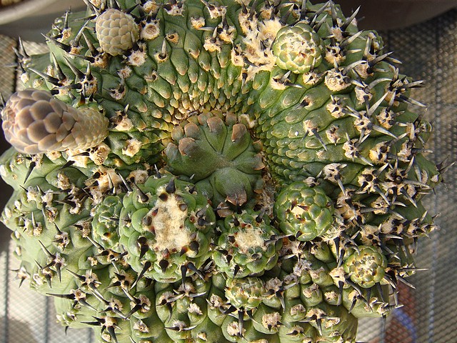 按此在新視窗瀏覽圖片