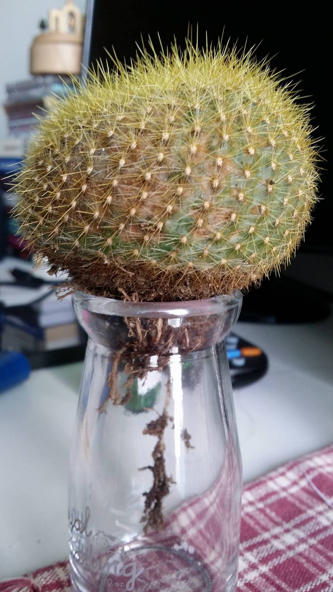 «ö¦¹¦b·sµøµ¡ÂsÄý¹Ï¤ù
