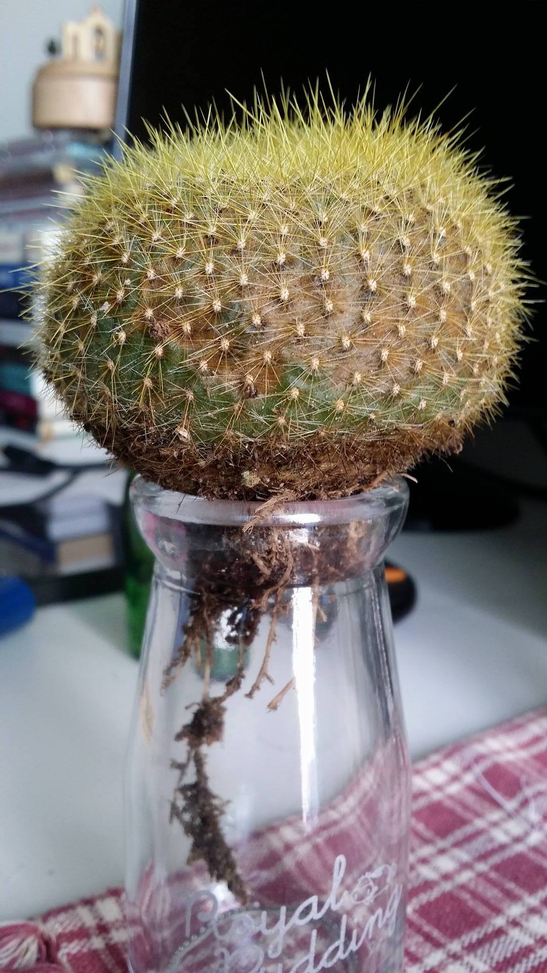 «ö¦¹¦b·sµøµ¡ÂsÄý¹Ï¤ù