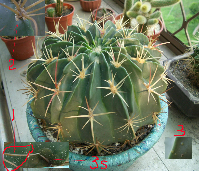 «ö¦¹¦b·sµøµ¡ÂsÄý¹Ï¤ù