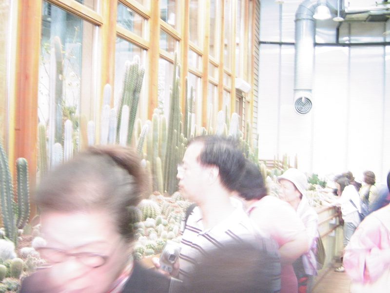 按此在新視窗瀏覽圖片